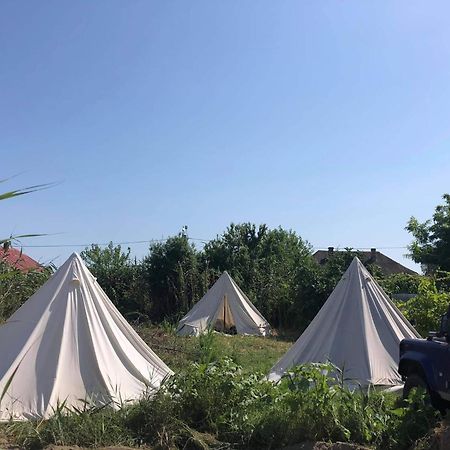 Danube Delta Hostel Homestay & Camping Sulina Dış mekan fotoğraf