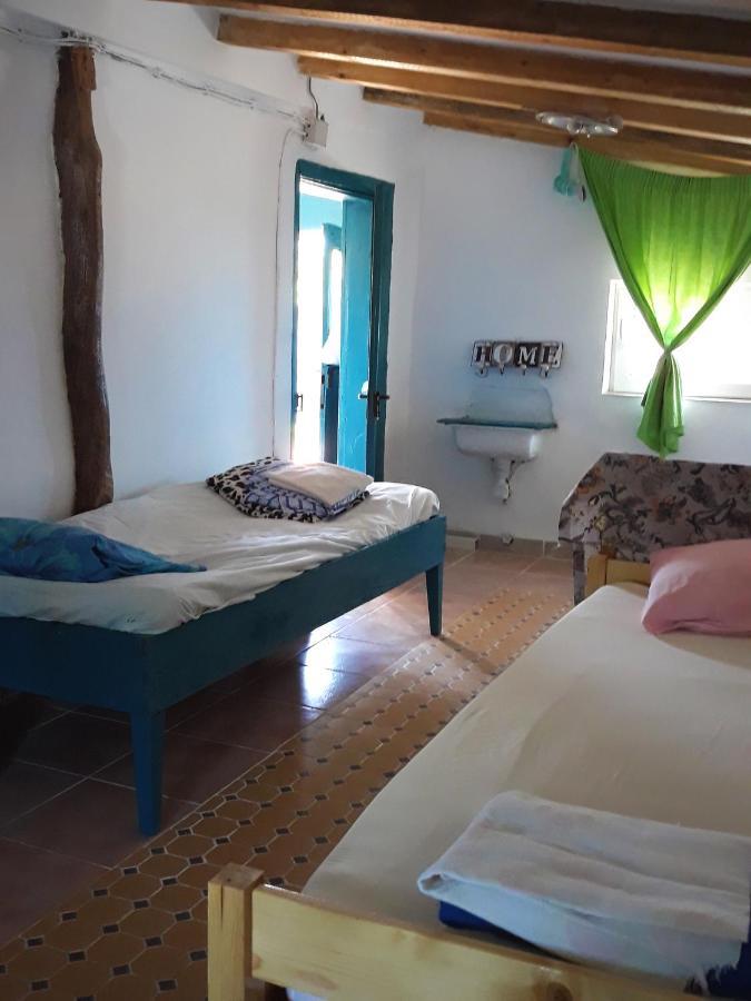 Danube Delta Hostel Homestay & Camping Sulina Dış mekan fotoğraf