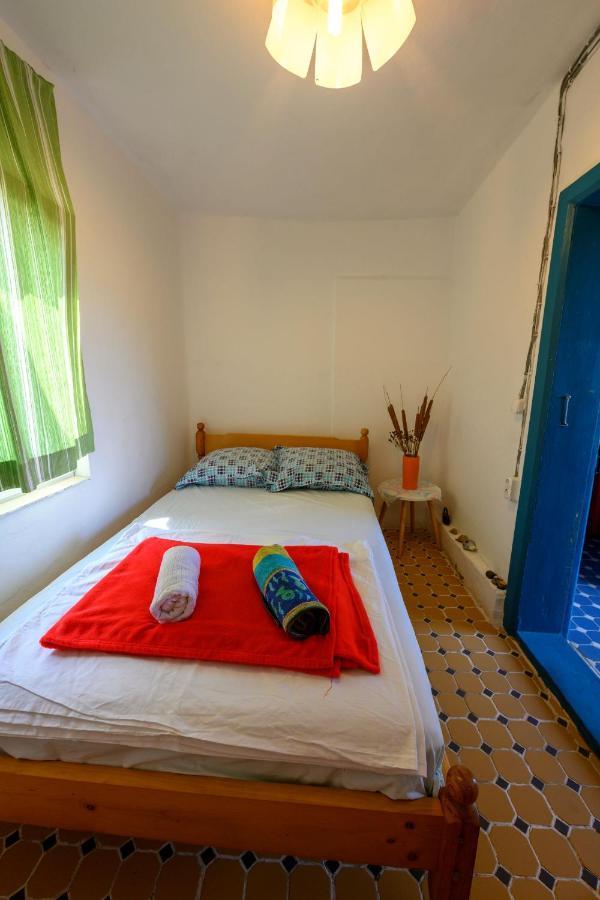 Danube Delta Hostel Homestay & Camping Sulina Dış mekan fotoğraf